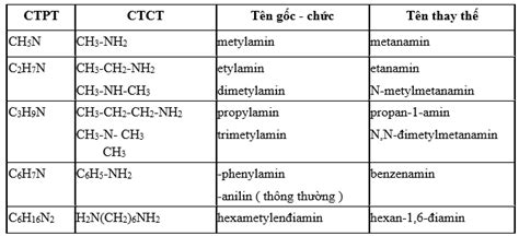 L Thuy T C U T O V T Nh Ch T C A Amin Amino Axit V Protein Sgk