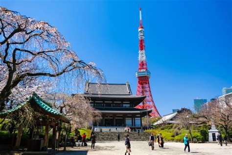 Best Cherry Blossom Spots In Tokyo Ultimate Sakura Mega Guide