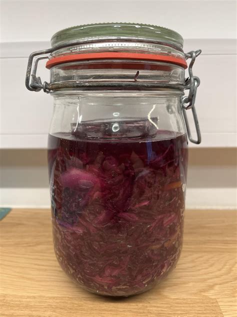 3 days - Fermented Red Cabbage : r/fermentation