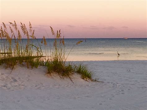 Gulfport, Mississippi | Beach pictures, Beach, Favorite places