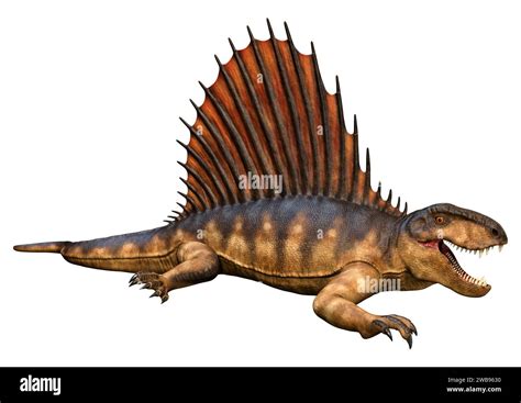 3d Rendering Of A Dinosaur Dimetrodon Isolated On White Background