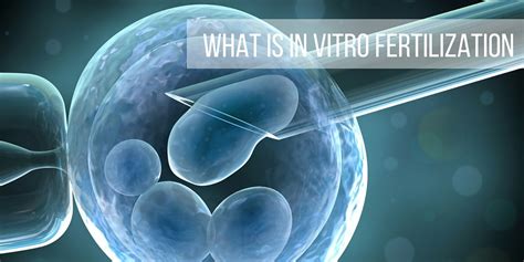 What Is Ivf In Vitro Fertilization — Atlantic Health Solutions