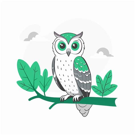 Premium Vector Owl Bird Illustration