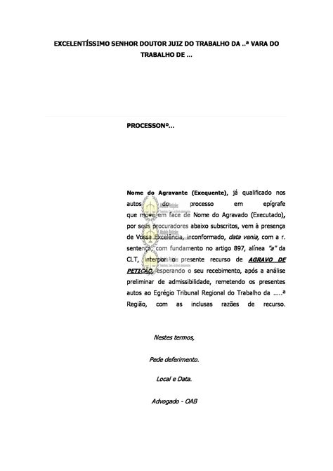 Agravo De Peti O Reclamat Ria Trabalhista Fase De Liquida O De