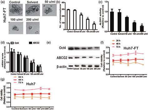 UTI Attenuated The Stemness Of 5 FU Resistant HCC Cells A And B