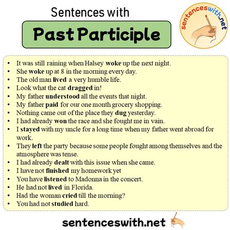 Sentences with Past Participle, 16 Sentences about Past Participle in ...