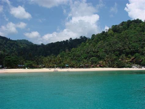 Scuba Diving In Tioman Best Dive Spots Around Tioman Island