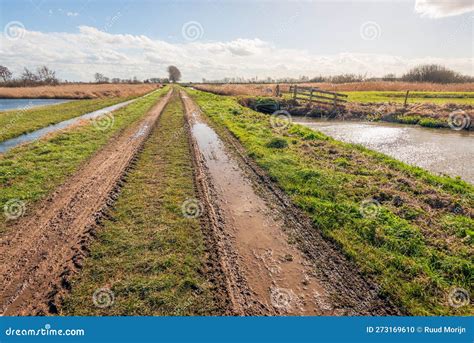 Muddy Country Road With Puddles In A Polder Landscape Stock Photo