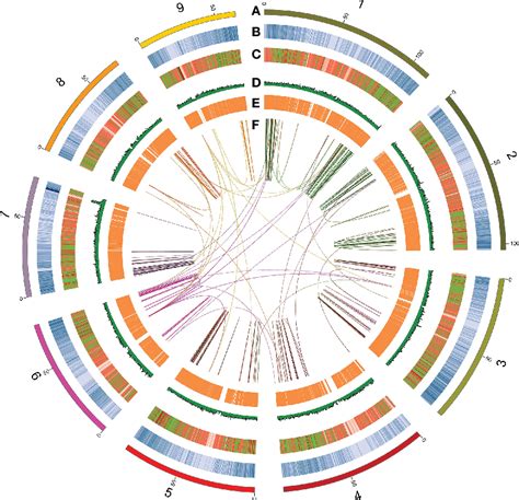 Figure 1 From Genomic And Transcriptomic Based Analysis Of Agronomic