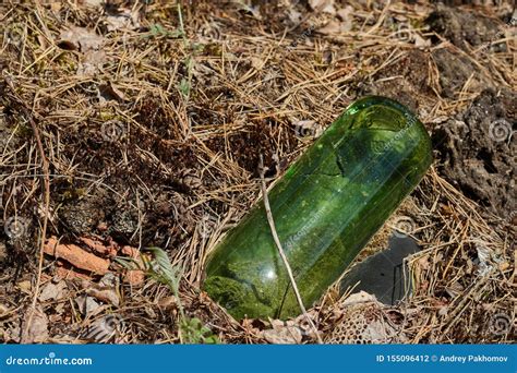 Glass Bottle Thrown In The Forest The Problem Of Ecology And Nature