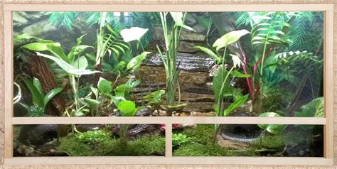 ECOZONE Holz Terrarium mit Seitenbelüftung 120x60x60cm Holzterrarium