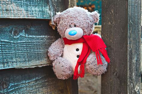 Oso De Peluche Madera Osito Foto Gratis En Pixabay Pixabay