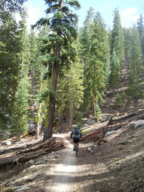 Mountain Biking Road Trip: NorCal! - Singletracks Mountain Bike News