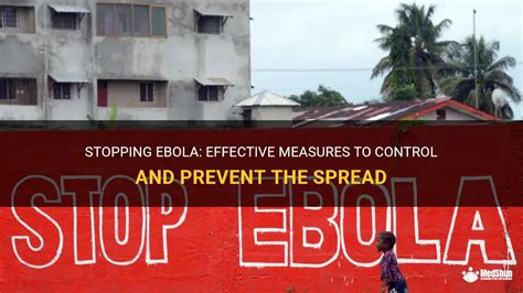 Stopping Ebola Effective Measures To Control And Prevent The Spread