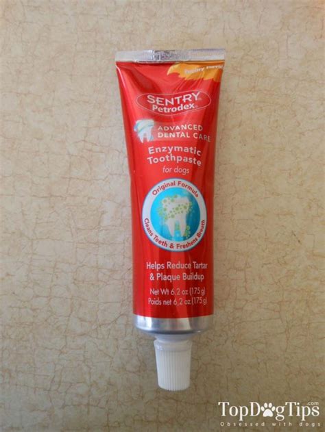 Top 10 Best Dog Toothpaste Brands of 2020 (Ranking and Review Update)