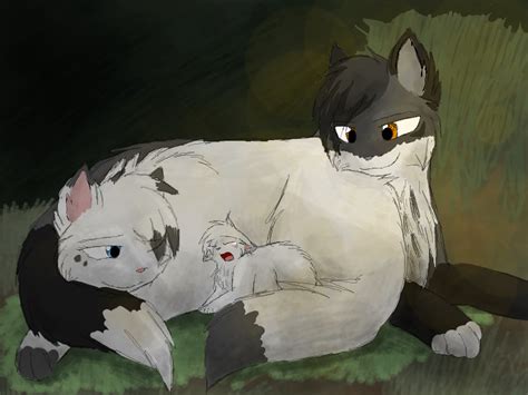 A I May Not Have Liked Thistleclaw But I Thought He And Snowfur Made The Cutest Couple