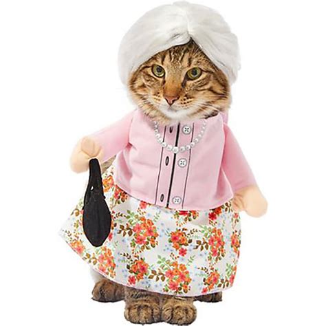 Buying Guide: How to Choose the Best Pet Halloween Costumes for Cats | BeChewy