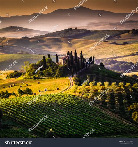 Tuscany, Italy - Landscape Stock Photo 126955577 : Shutterstock