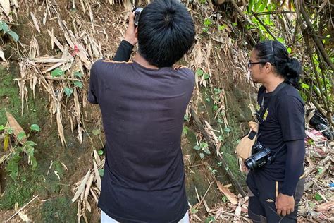 Foto Lewat Temuan Sisa Sisa Kotoran Berang Berang Dipastikan Hidup