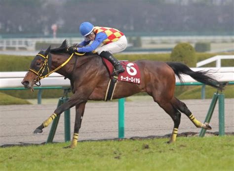 【阪神大賞典】テーオーロイヤルが5馬身差の圧勝 日刊ゲンダイ競馬