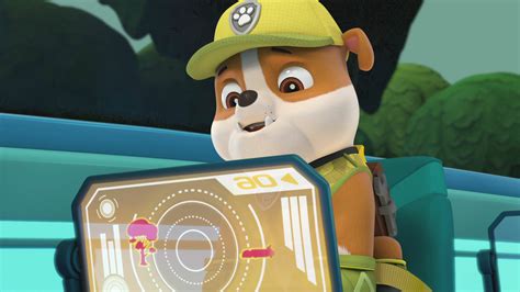 Watch Paw Patrol Season 8 Episode 8 Paw Patrol Pups Stop The Cheetah