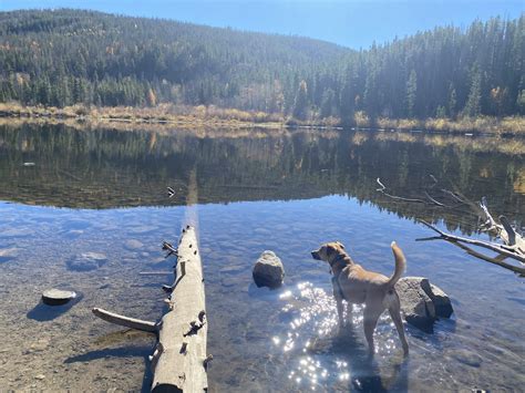 Rainbow Lake Miners Creek Approachable Outdoors