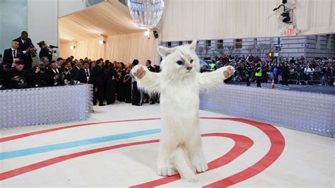 Vídeo Jared Leto acude a la Gala Met 2023 disfrazado de gato Vídeos