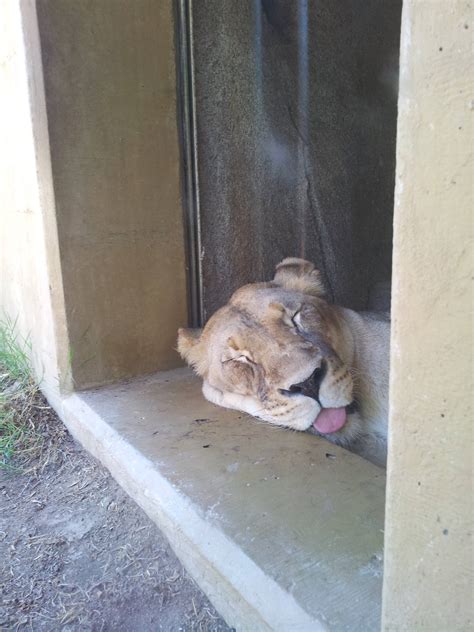 When It S Too Hot To Cuddle But You Still Wanna Touch OC X Post From R Aww R Pics