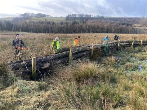 Can Natural Defences Help Protect The North West Against Flooding Itv News Granada