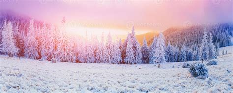 winter landscape trees in frost 6939692 Stock Photo at Vecteezy