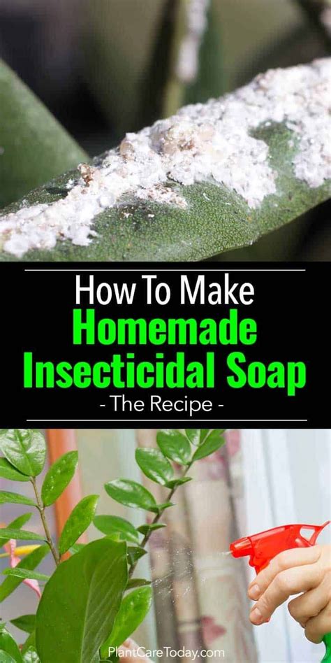 How To Make Homemade Insecticidal Soap Recipe Gardening Tips Garden