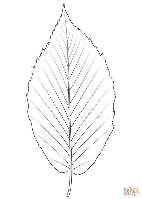 Autumn Maple Leaf Coloring Page - Coloring Games Online