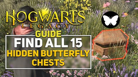 Find All Hidden Butterfly Chests 15 15 Walkthrough Location Guide