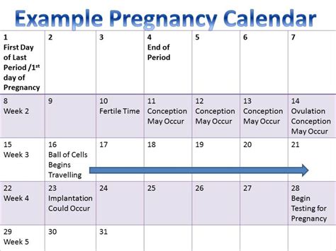 Period 2 Days Late Pregnancy Symptoms - pregnancysymptoms