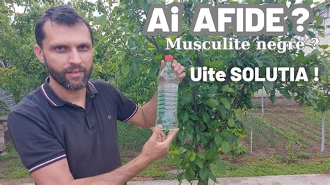 Scapa De Afide Cu Acesta Solutie BIO Facuta Acasa YouTube