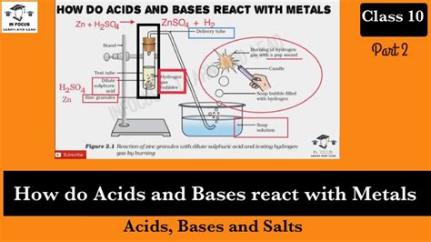 Acids Bases And Salts Class 10 How Do Acids And Bases React With