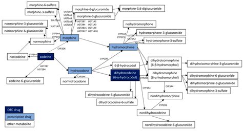 Pharmacological Aspects of Over-the-Counter Opioid Drugs Misuse
