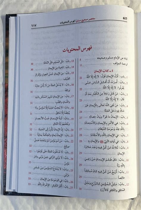 Mukhtasar Sahih Muslim By Al Mundhiri Arabic Only Colour Pr