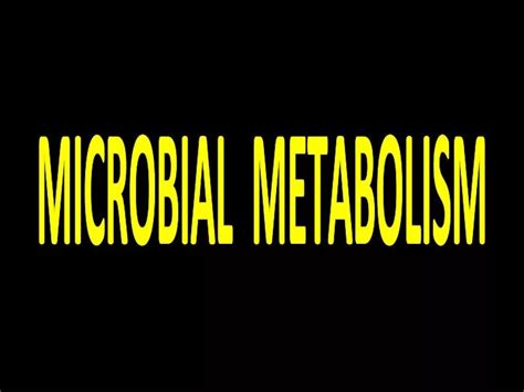 Ppt Microbial Metabolism Powerpoint Presentation Free Download Id