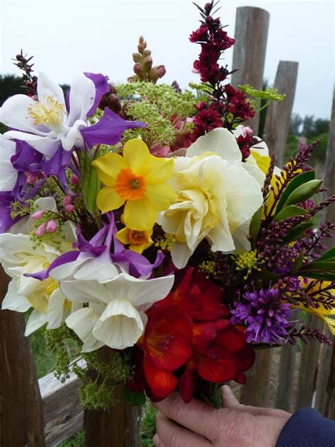 Spring Bridal Bouquet With Columbine Daffodils Hebe Bridal Bouquet