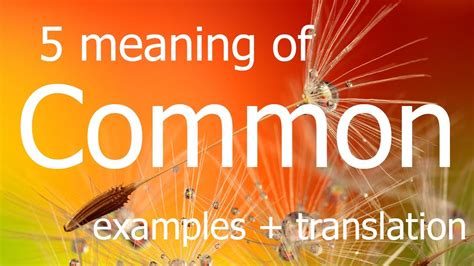 Common meaning | 5 meaning of common as a noun and adjective with ...