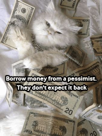 Moneycat GIF - Moneycat - Discover & Share GIFs