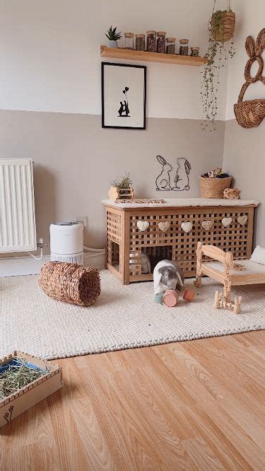 House Rabbit Home Setup | Indoor Rabbit | House Bunny | Pet Enclosures ...