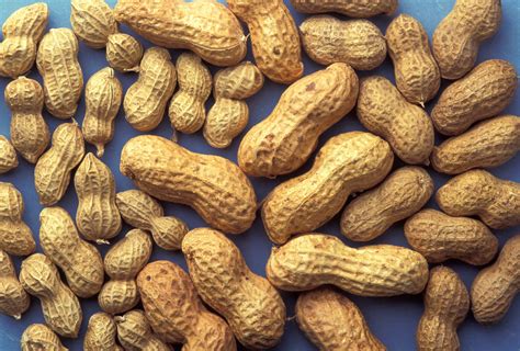 File:ARS peanuts.jpg - Wikimedia Commons