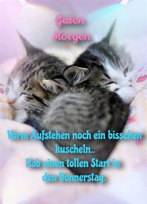 Pin Von Tina A Auf Katzen Guten Morgen Katze Guten Morgen Guten