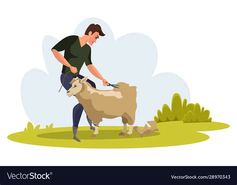 Man shearing sheep flat Royalty Free Vector Image