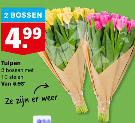 Tulpen Folder Aanbieding Bij Hoogvliet Details