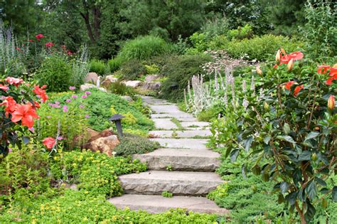 Onderhoudsvrije Tuin Mooie Vaste Planten Zonder Onderhoud