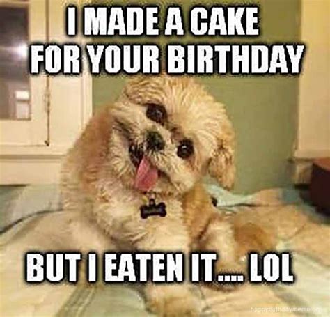 29 Funniest Happy Birthday Dog Meme Happy Birthday Meme