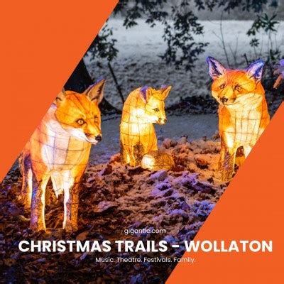 Christmas Trails - Christmas At Wollaton | Gigantic Tickets